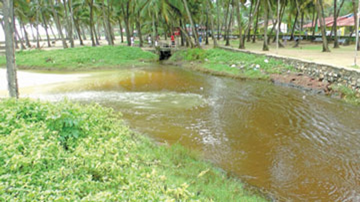 The contaminated Colva creek on Saturday.