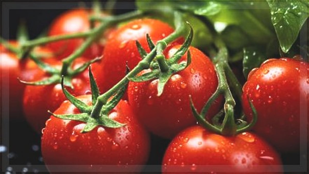 The decline in tomato prices provides a welcome respite for consumers