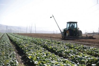 The distance from farm to table isn’t far