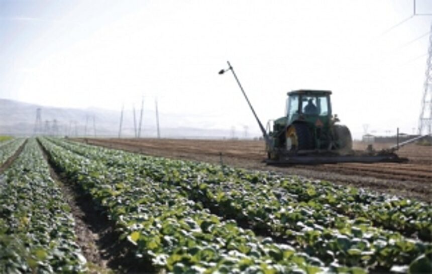 The distance from farm to table isn’t far