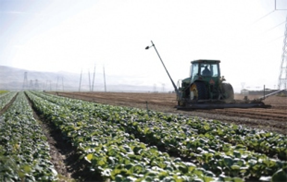 The distance from farm to table isn’t far