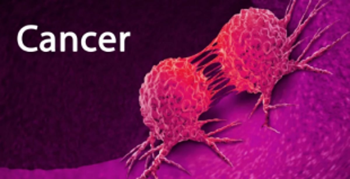 The early diagnosis   of cancer