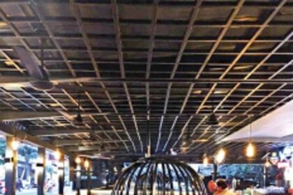 The elephant in Goa’s nightlife space: Code of conduct