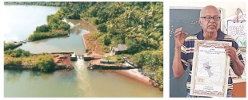 The evolution of Khazans through the eyes of Joe Fernandes