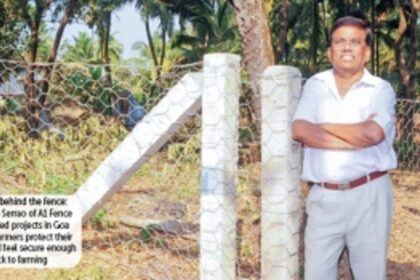 The fence mender from Seraulim