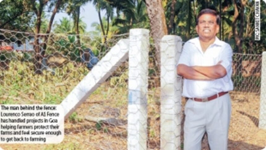 The fence mender from Seraulim