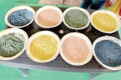 The festival of colours turns ecofriendly