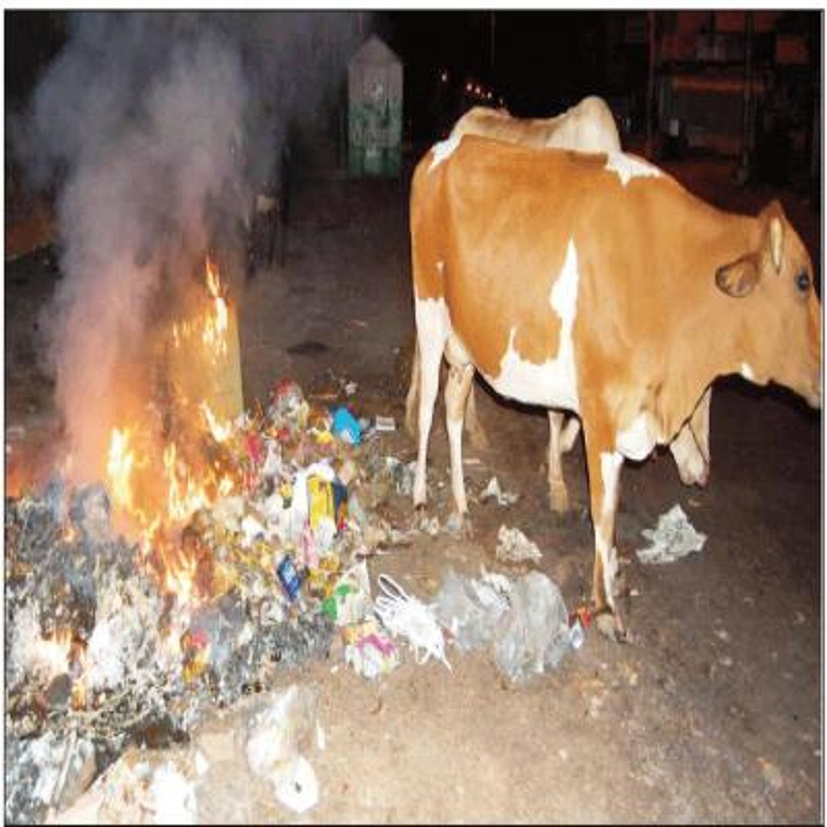 The fire that gutted two plastic garbage bins at Aquem last night.