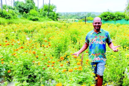 The future is green: Farmer Gaspar Fernandes sows hope across the seasons