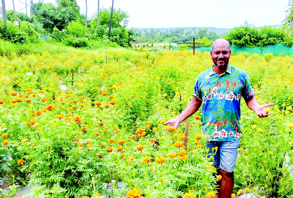 The future is green: Farmer Gaspar Fernandes sows hope across the seasons