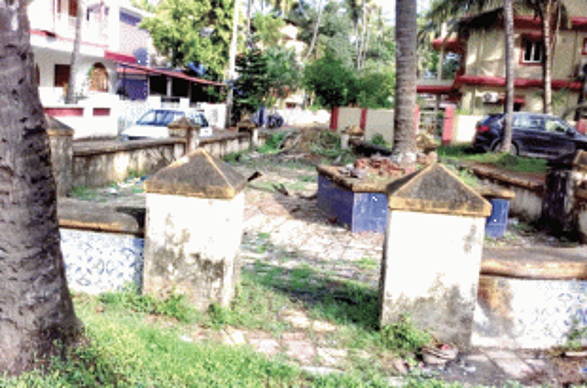 The garbage garden of St Cruz