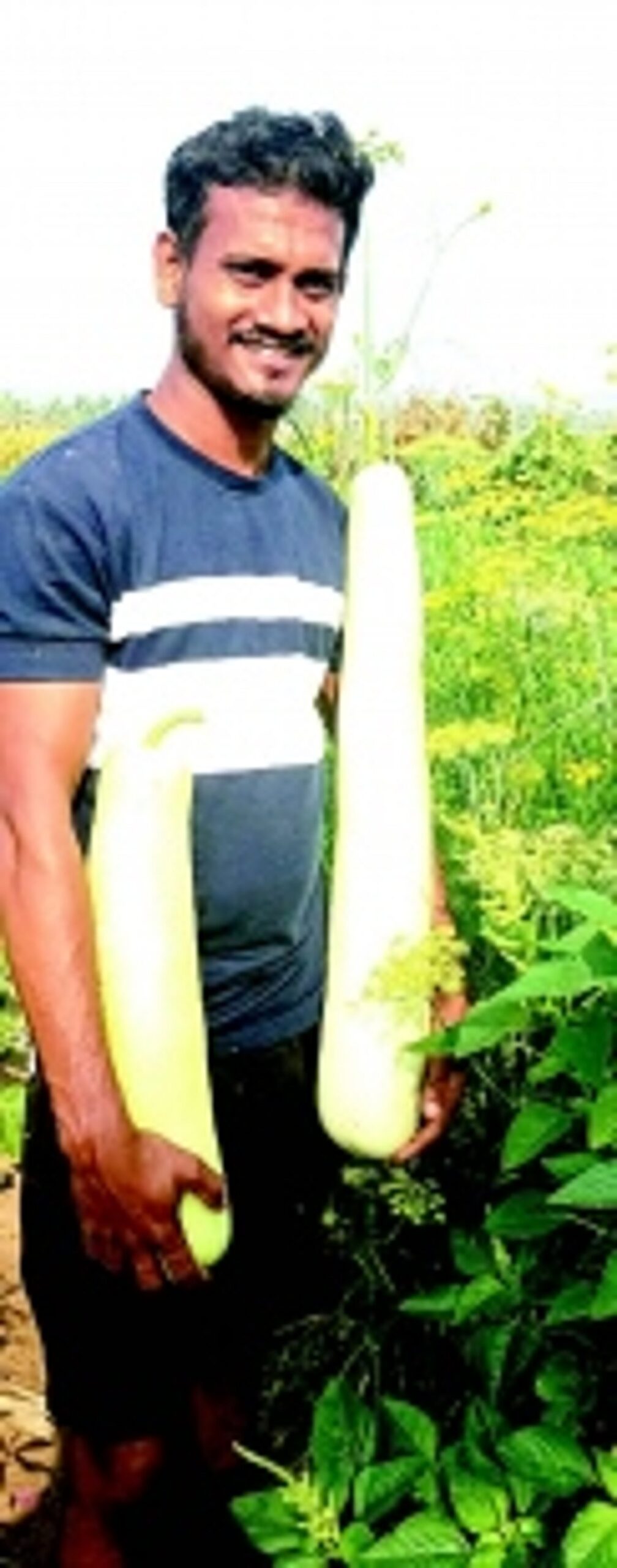 The golden touch: Akshay Purkhe’s entrepreneurial spirit transforms Sangolda’s farming scene