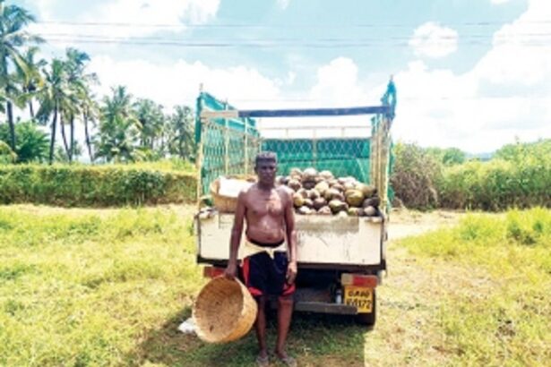 The government cannot certify the quality of journalism, only people can