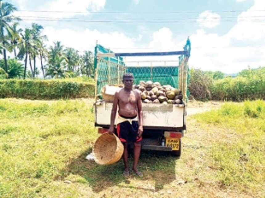 The government cannot certify the quality of journalism, only people can