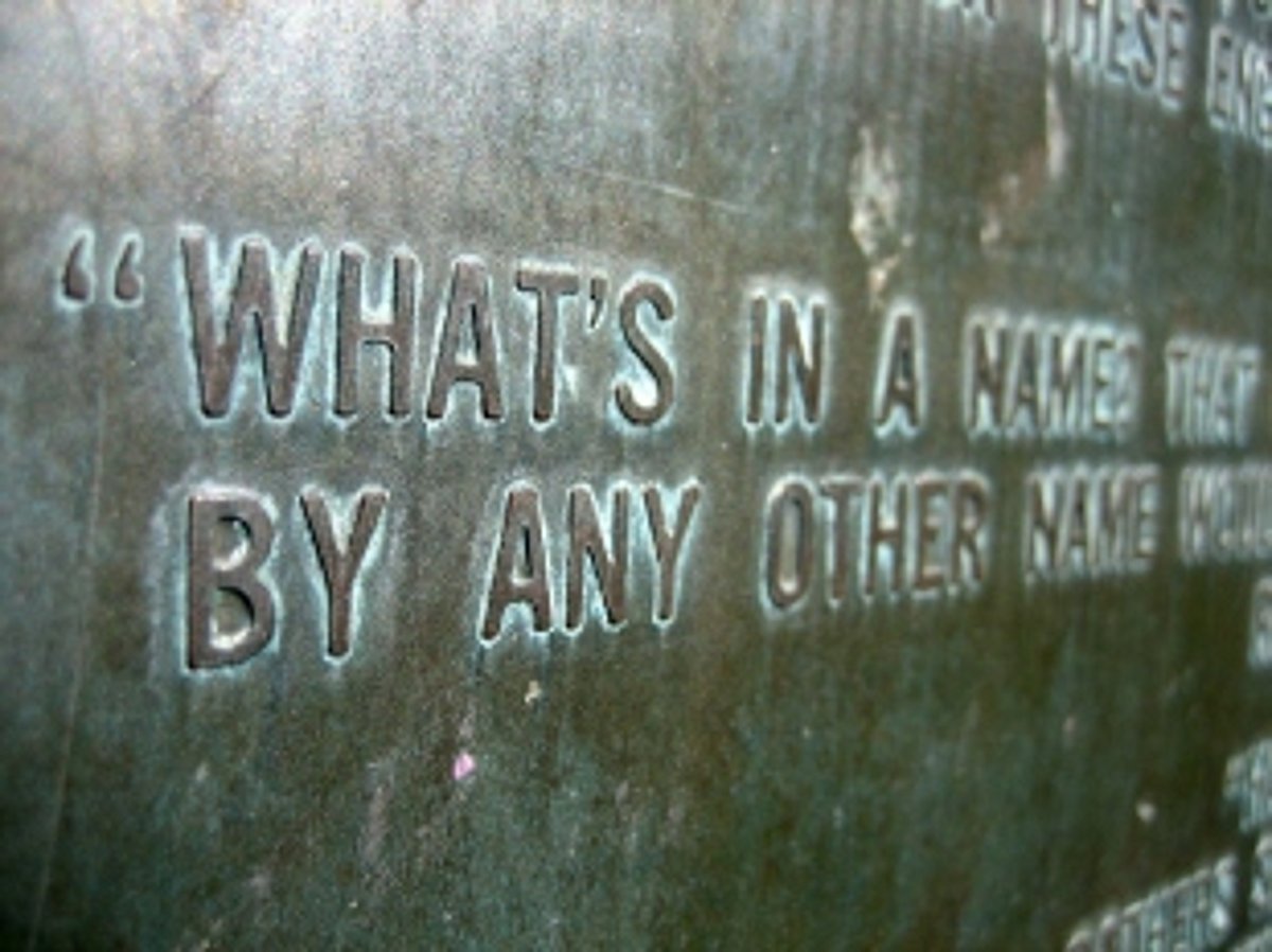 The great Goan name debate