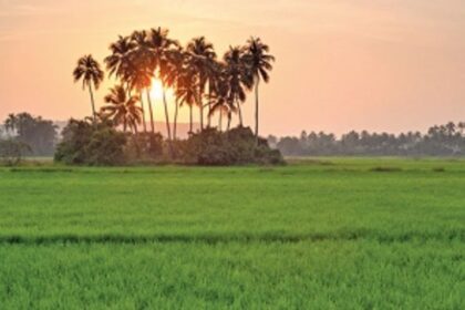 The great drama  behind  govt plans  to  acquire your land