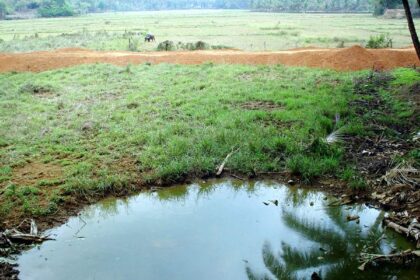 The land filling site at Curtorim on Sunday. Photo by Santosh Mirajkar