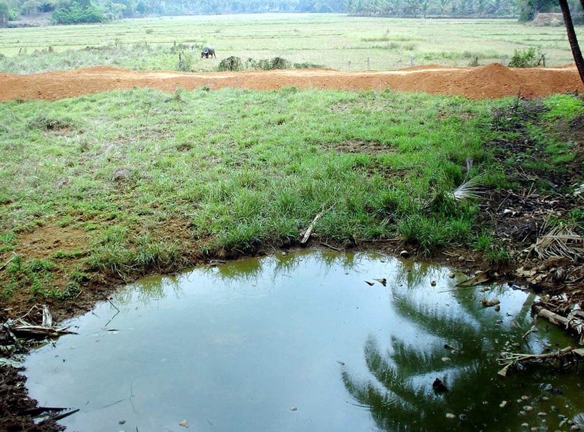 The land filling site at Curtorim on Sunday. Photo by Santosh Mirajkar