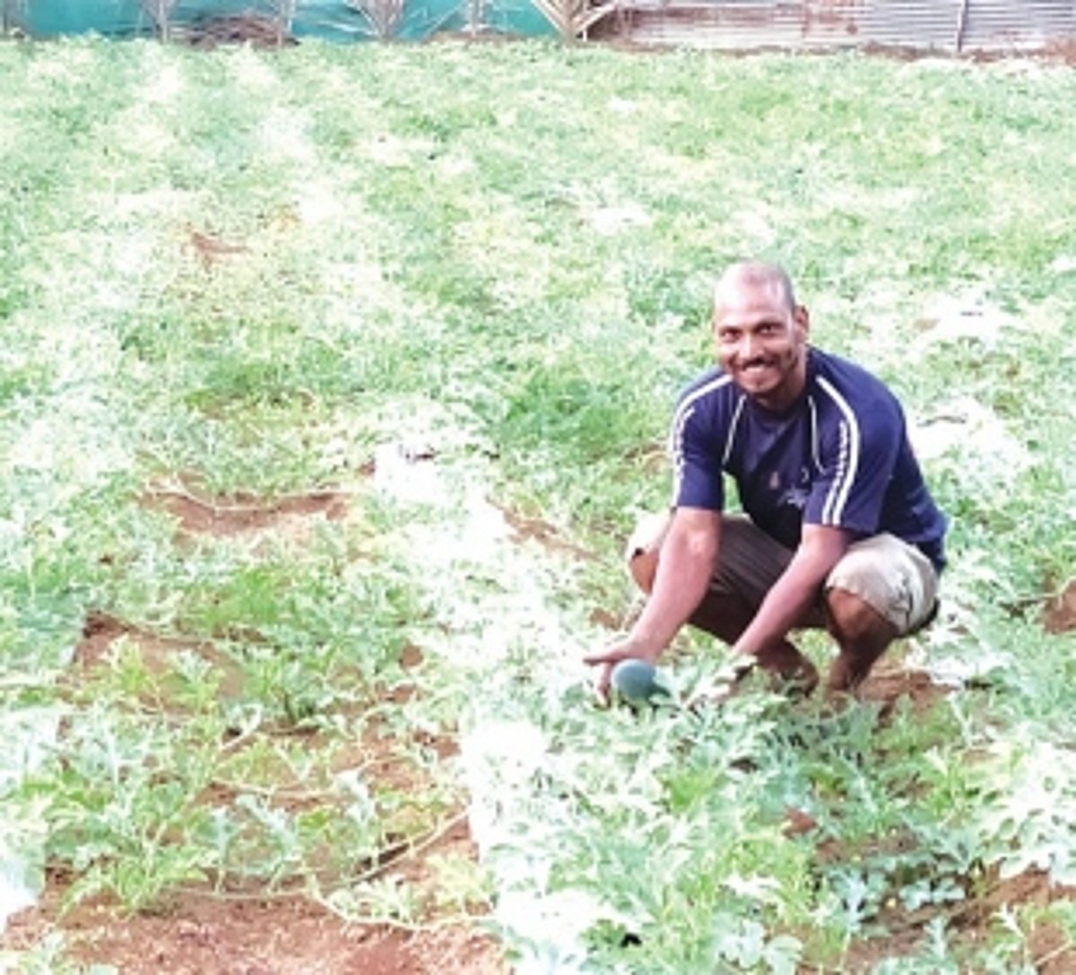 The man behind Goa’s own green revolution