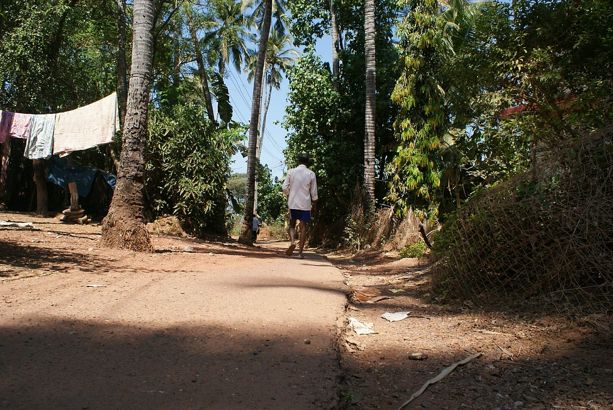 The narrow road to Aivao that awaits tarring for many years.