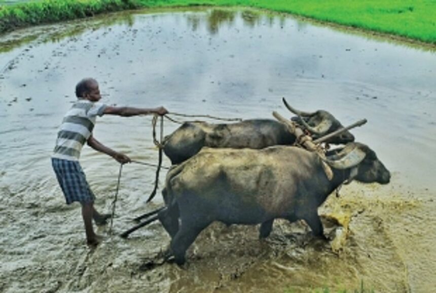 The new age of balcão banter is here