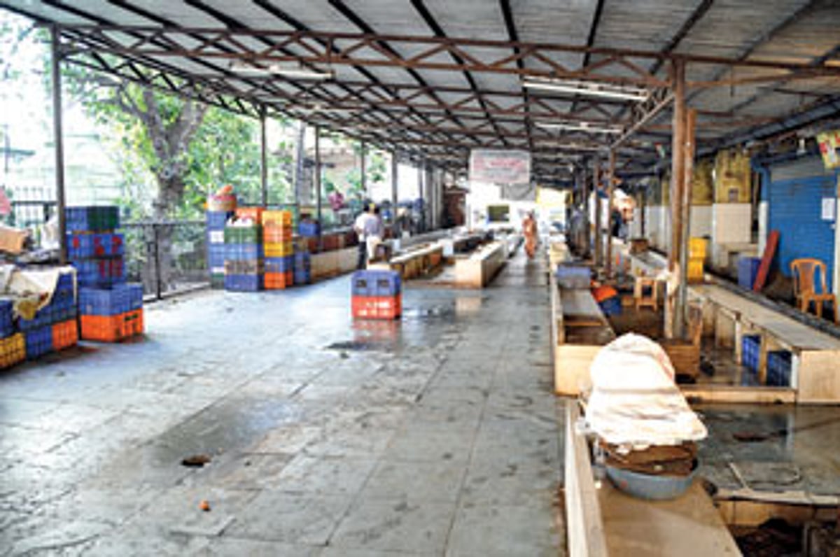 The otherwise bustling Panjim fish market looked forlorn.