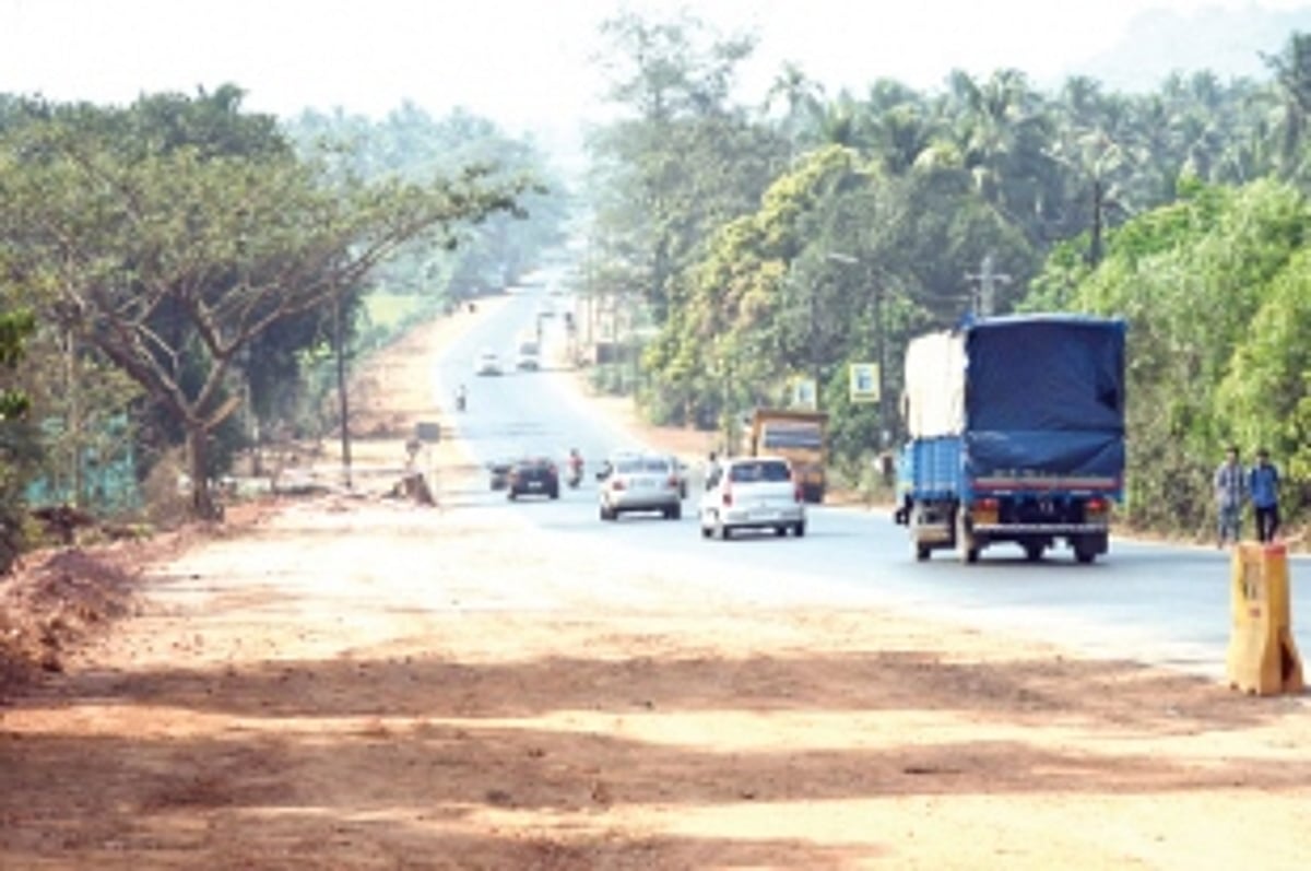 The price of ‘development’ in  South Goa: 3000 trees & counting