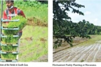 The priest who plants: Breaking the clutter with community farming