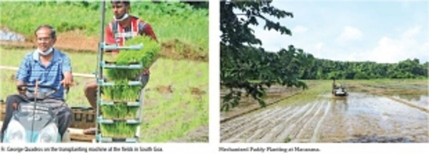 The priest who plants: Breaking the clutter with community farming