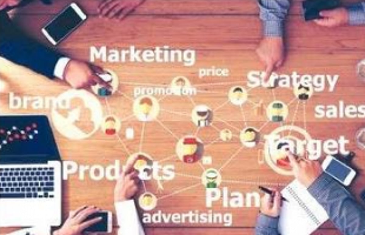 The requirement of market research and project feasibility study