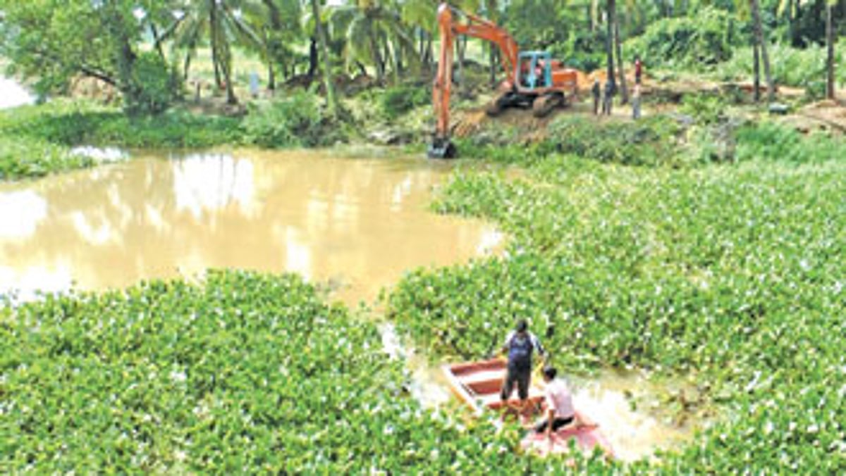 The river Sal being cleared of water hyacinth by the Water Resources Department