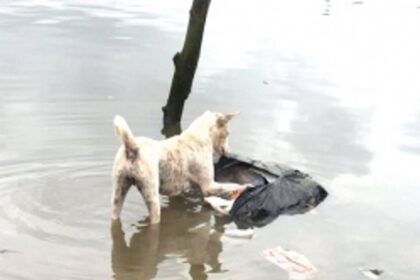 The river waste warrior from Mobor - Anita Fernandes