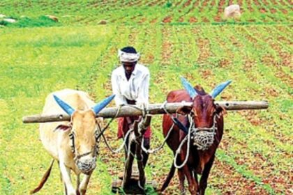 The road to boosting  Goa's economy runs  through agriculture