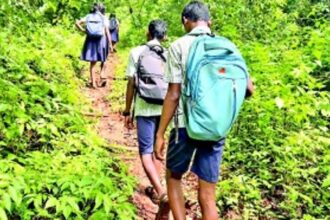 The road to progress in Carla? Dark forests, slippery roads, & wild animals