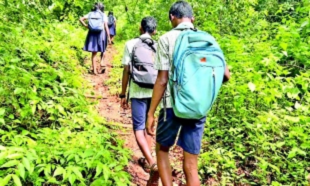 The road to progress in Carla? Dark forests, slippery roads, & wild animals