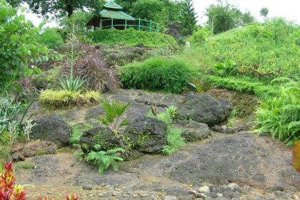 The rock garden at the botanical garden at Selaulim Dam in Sanguem.