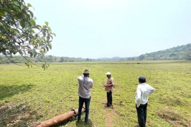 The seed of hope has been sown, as relieved Pissurlem farmers get ready to get to their fields