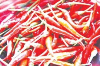 The spicy and successful tale of Khola