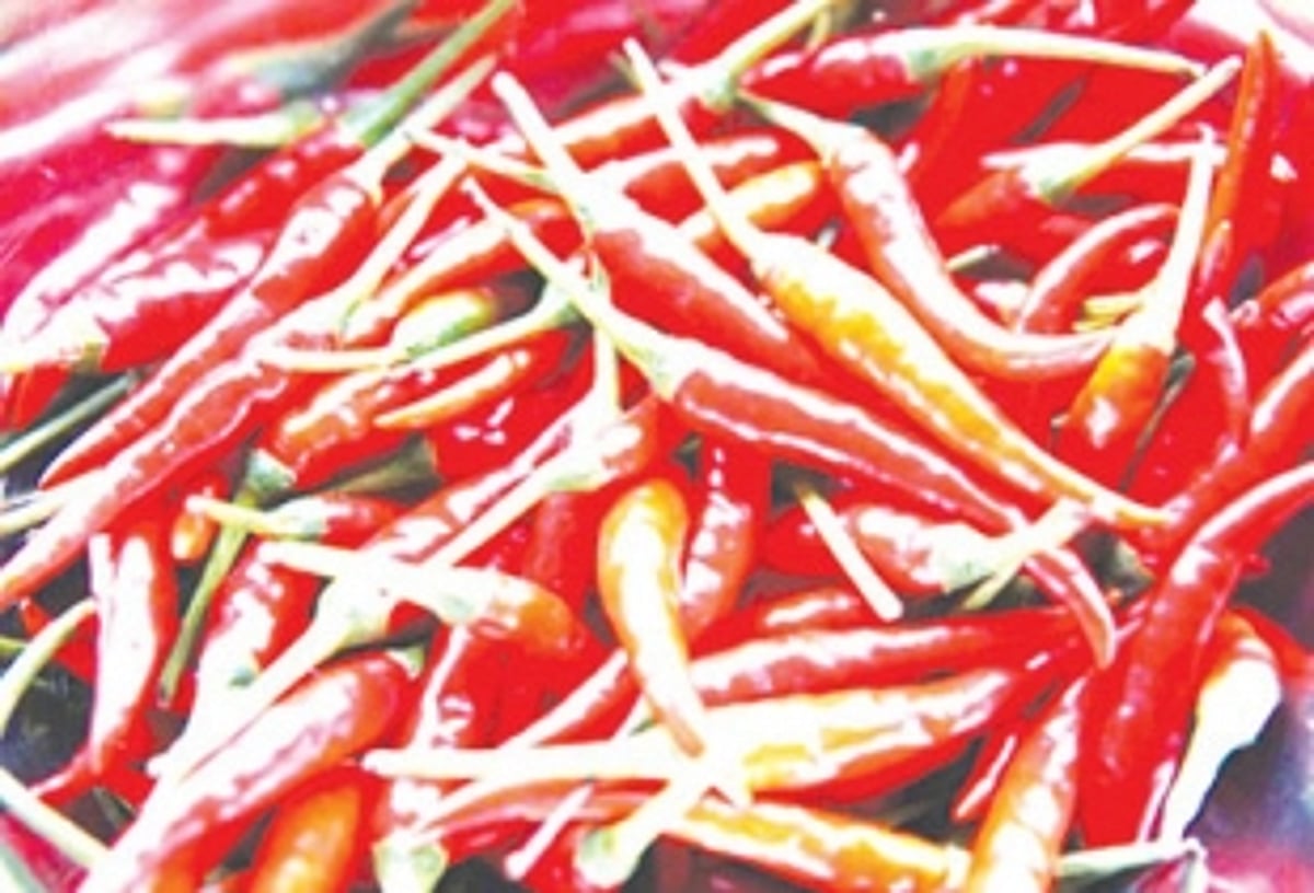 The spicy and successful tale of Khola