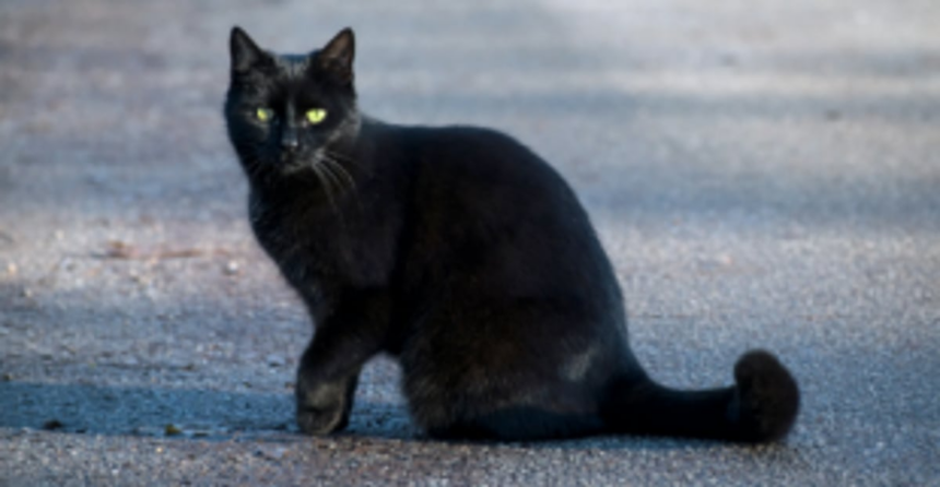 The superstitious beliefs