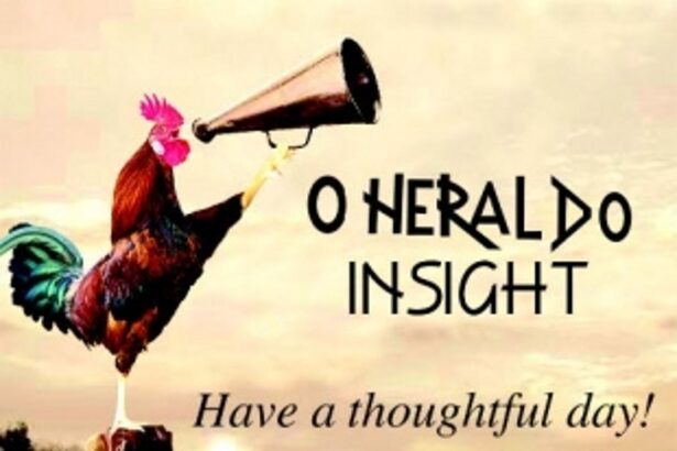 The system is bent towards making the elected, non-accountable to the people