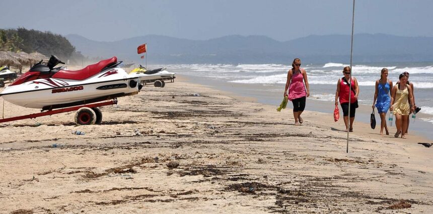 The tar balls at the Benaulim beach.