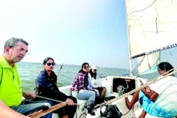 The wind in the sails