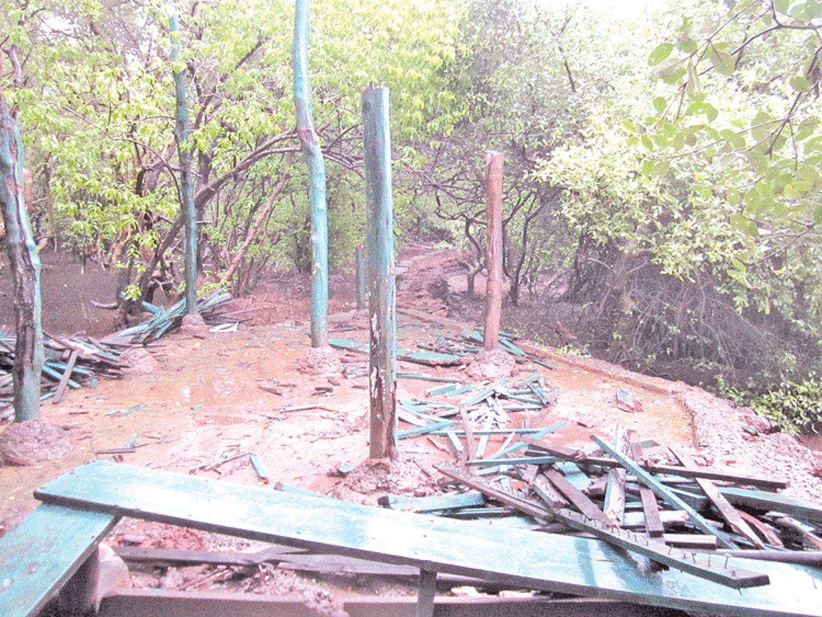 The wooden watch tower at Chorao Bird Sanctuary collapsed due to heavy rains and strong wind.