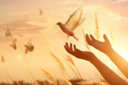 The world needs peace