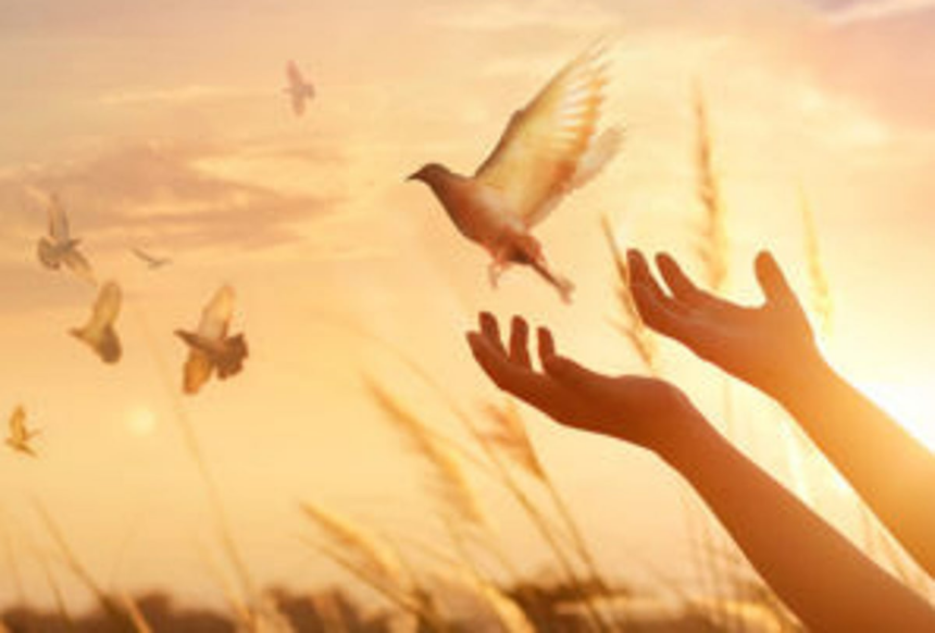 The world needs peace 1 The world needs peace