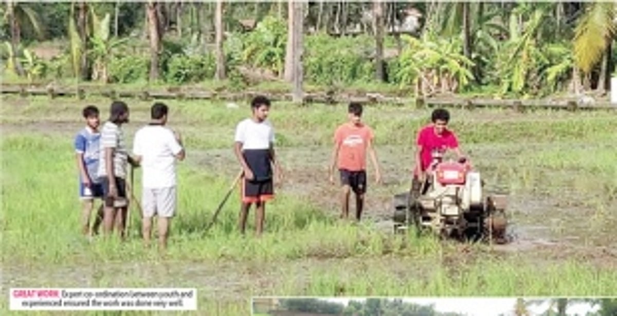 The young showing the way