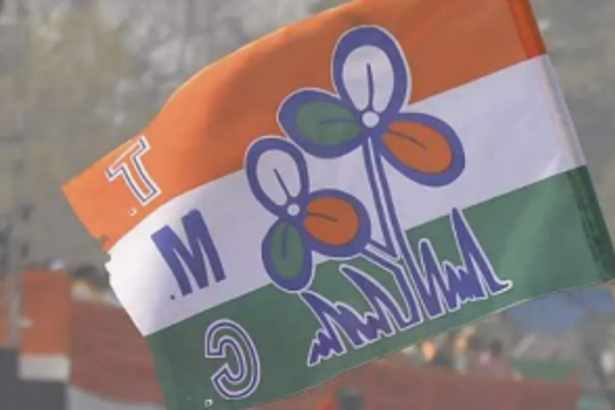 Theatre artiste Anita Kundaikar, others join TMC