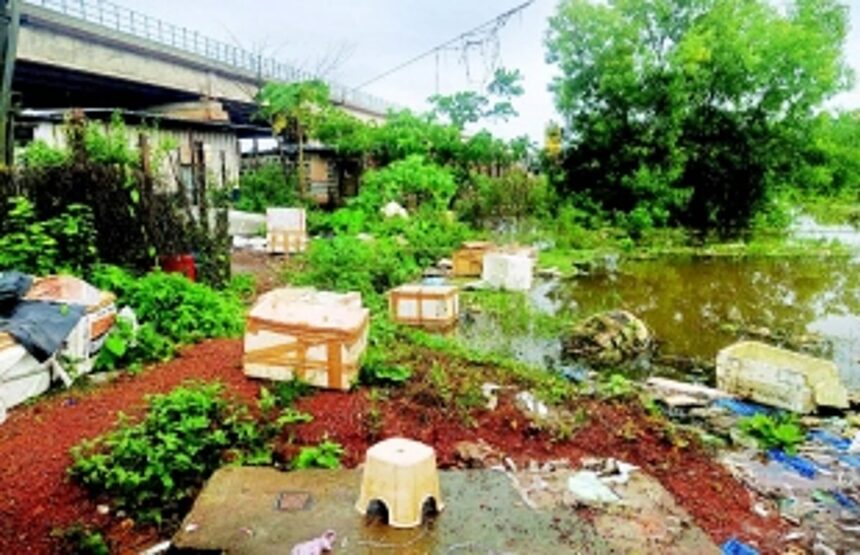 Thermocol waste chokes water bodies and lush green fields near Margao