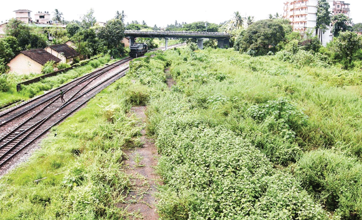 Thick vegetation in railway property between Margao railway station and Margao flyover has come in handy for criminals to take shelter.